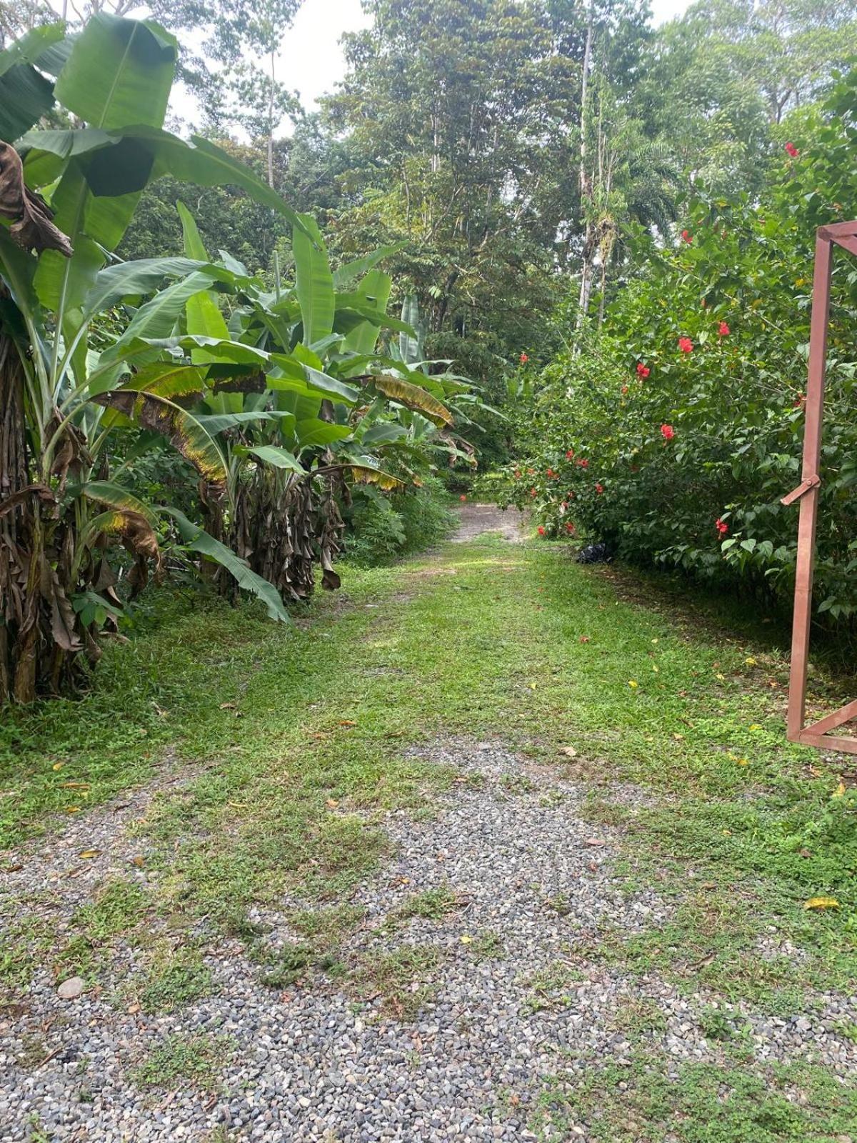 Caribbean Retreats Vila Cocles Exterior foto