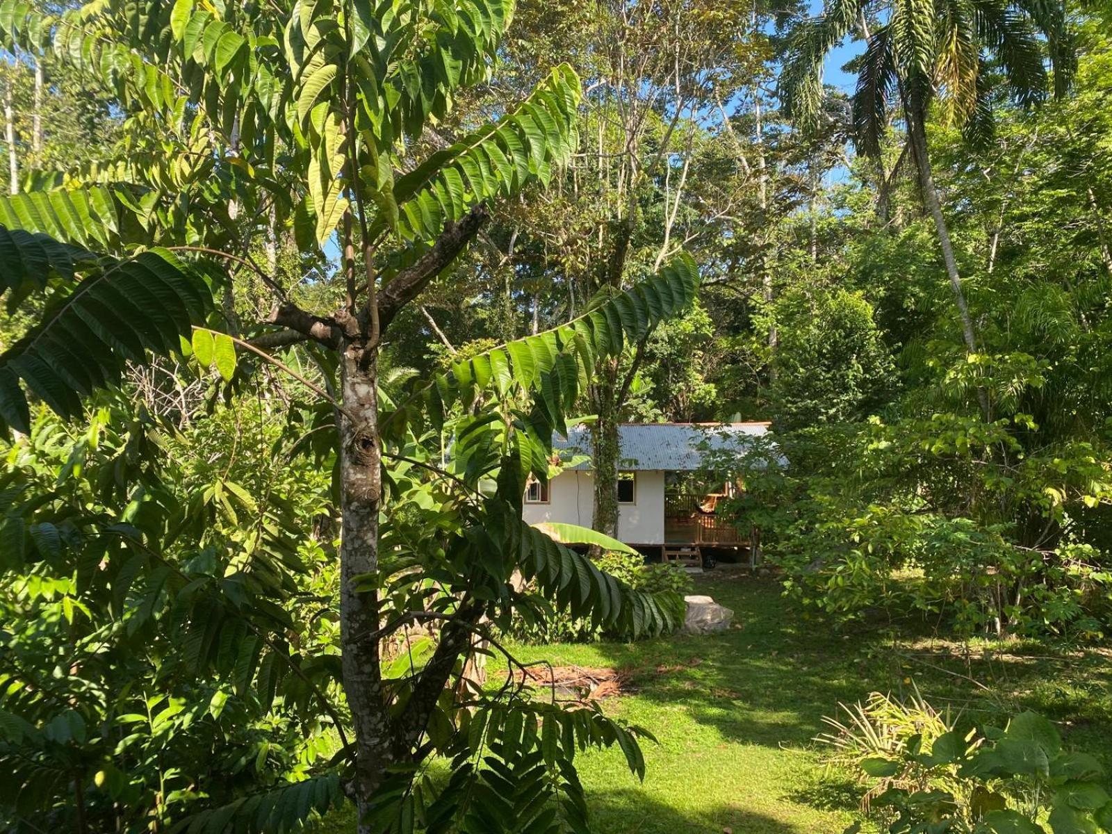 Caribbean Retreats Vila Cocles Exterior foto